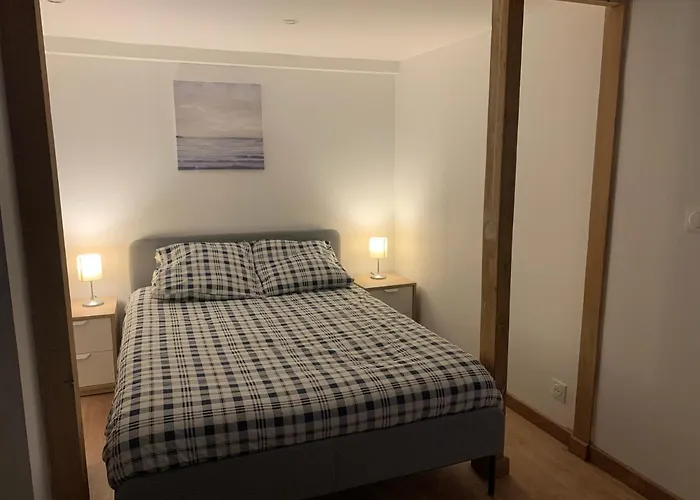 Appartement - Proche Cdg - Paris & Stade De France